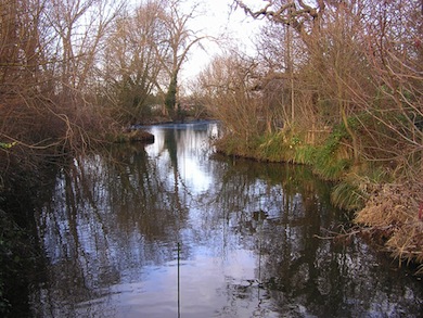 View of Barnes angling lakes © Mike Waite