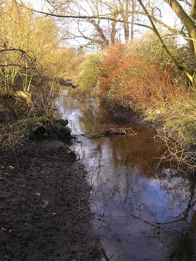 View of the Beverley Brook at Barnes © Mike Waite