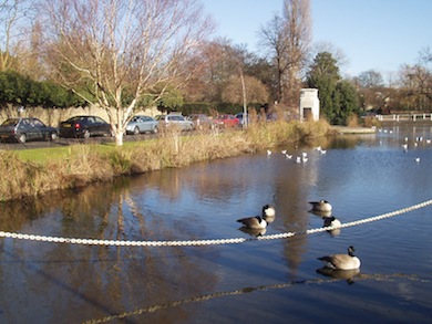 Carshalton Ponds in winter © Richard Barnes