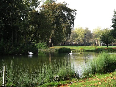 The restored lake in Victoria Park © Jan Hewlett