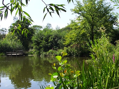 View across the lake at Wandsworth Common © Emma Sexton