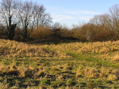 Winter sunshine on Putney Lower Common © Mike Waite