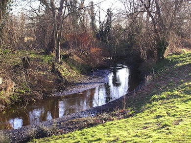View of the Beverley Brook © Mike Waite