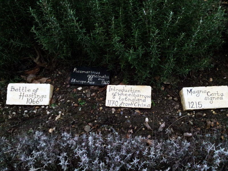 Historic herbs in a Bexley park © Roger Manser