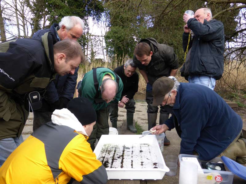 River Citizen Scientists