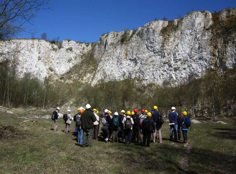 Riddlesdown Chalk Pit