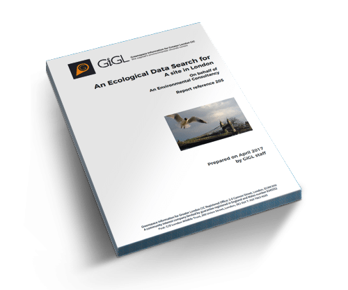 Get a Data Search Report