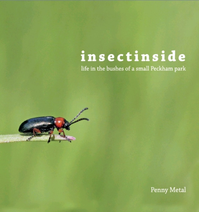 Book Review: “insectinside – life in the bushes of a small Peckham park” by Penny Metal