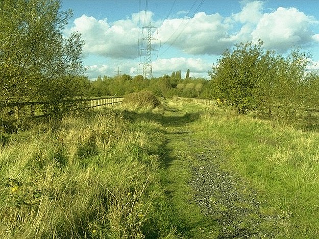 Wandle Meadow Nature Park