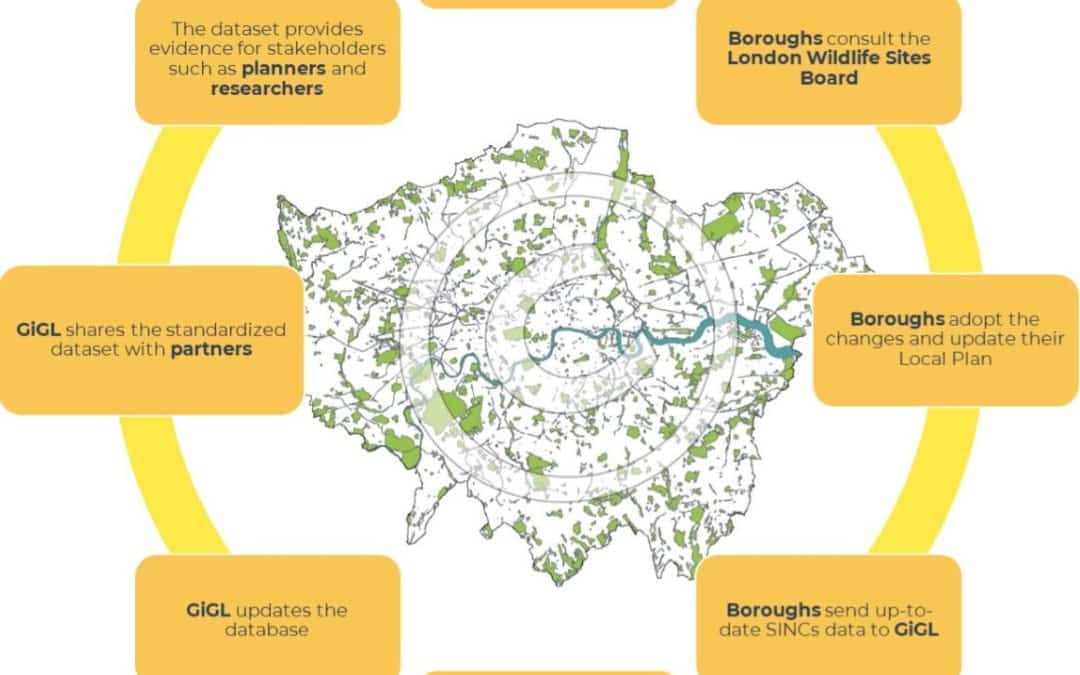 Show & Tell: SINCs and the City – how nature is protected in the urban landscape