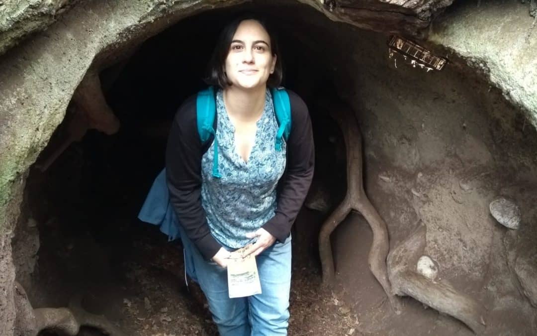 Interview, Eleni Foui