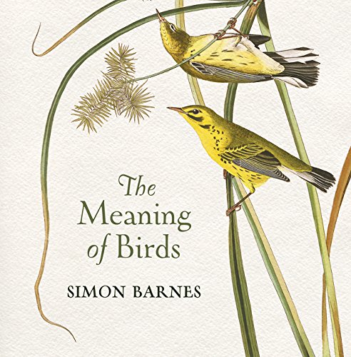 Book Review: The Meaning of Birds