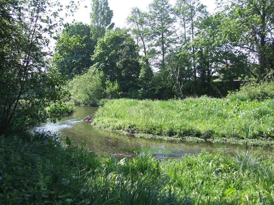 London River Restoration Opportunity Mapping