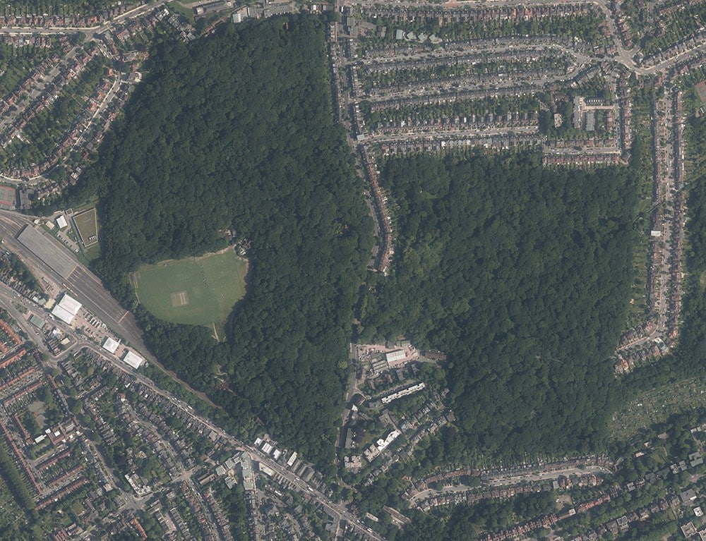 Queen’s Wood and Highgate Wood