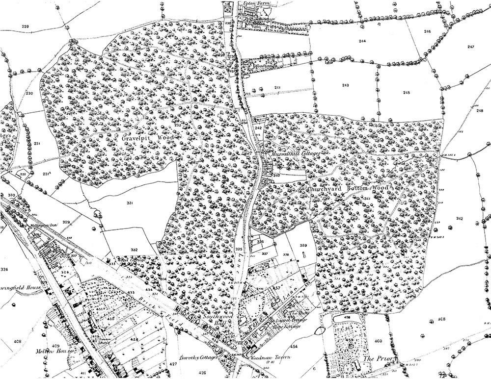 Queen’s Wood and Highgate Wood