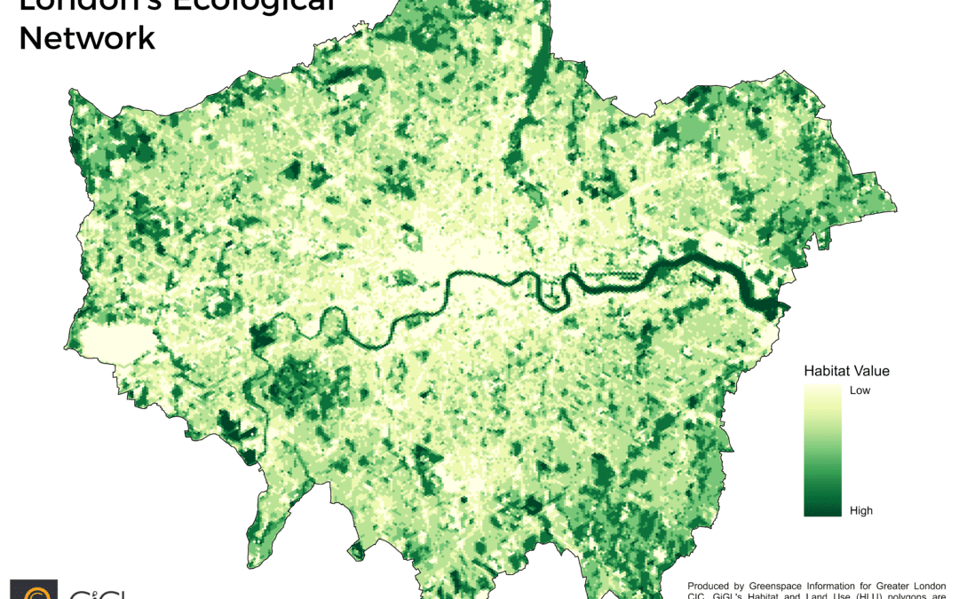 Ecological Network Mapping