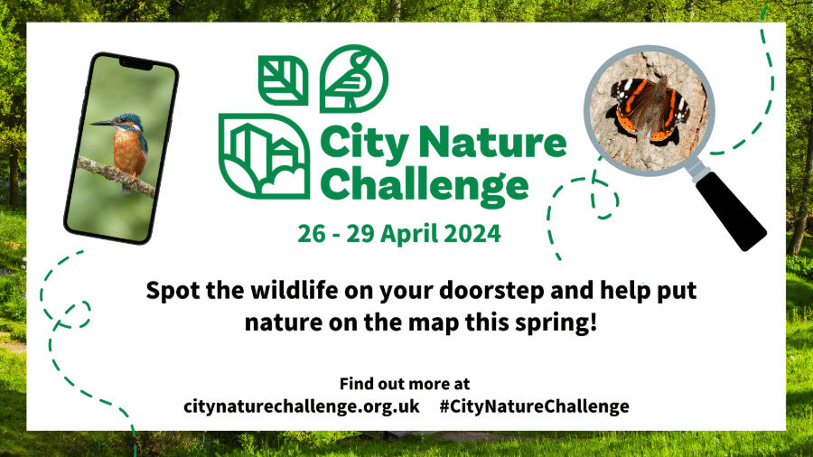 City Nature Challenge 2024