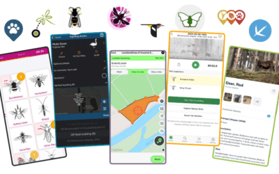 Recording Apps: Let’s get specific