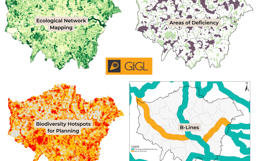 Strategic Significance for London
