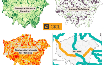 Strategic Significance for London