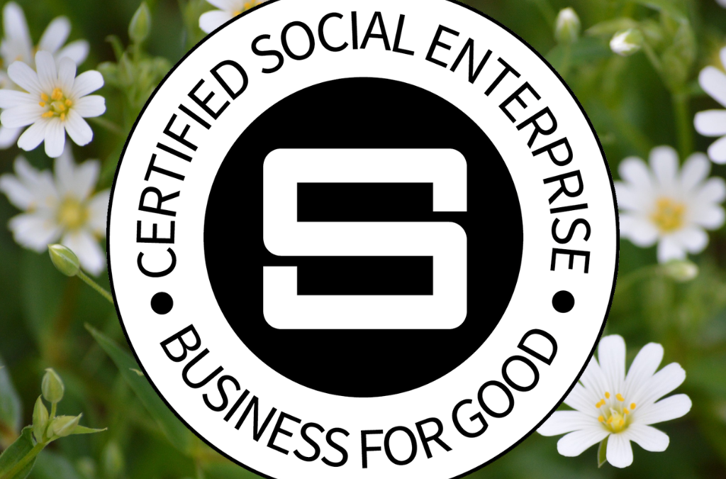 The Impact of GiGL as a Social Enterprise