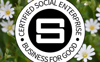 The Impact of GiGL as a Social Enterprise