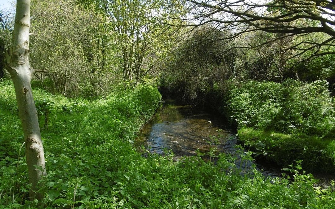 River Restoration Opportunities in London
