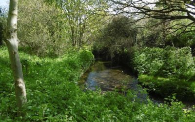River Restoration Opportunities in London