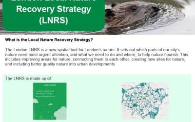 Public Consultation of the Draft London Local Nature Recovery Strategy