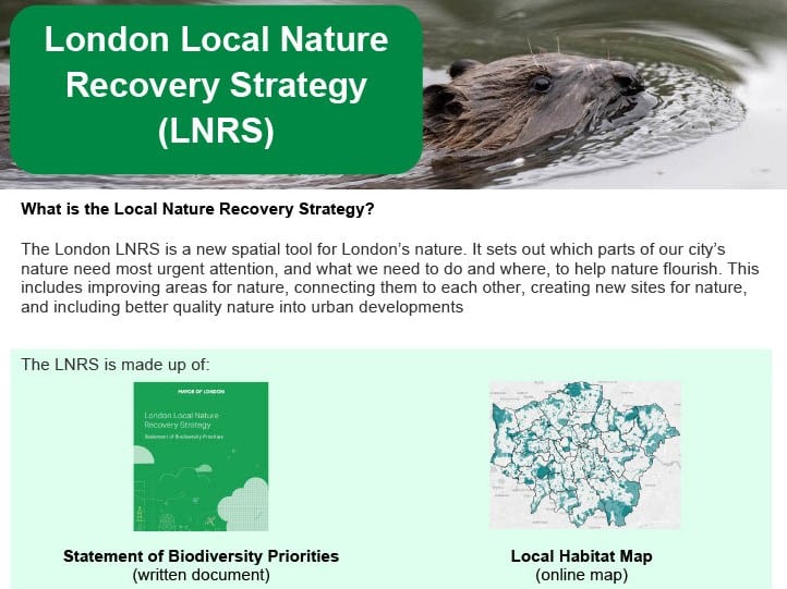 Public Consultation of the Draft London Local Nature Recovery Strategy