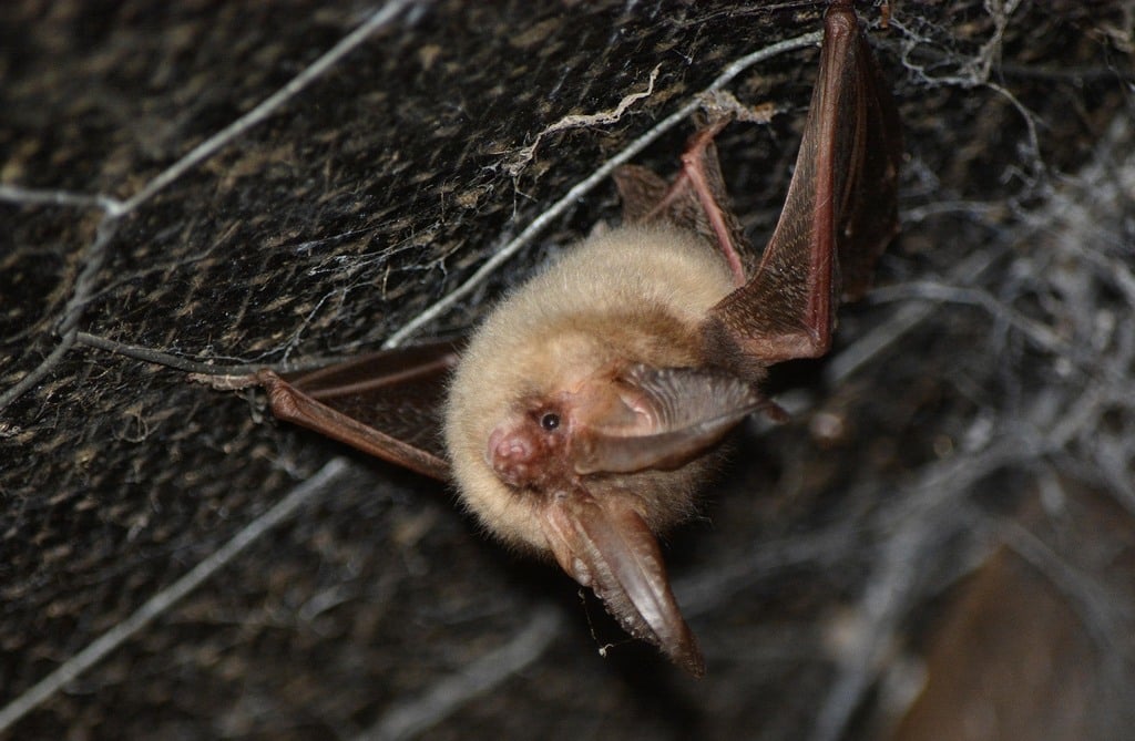 Bridging Gaps for Better Data – Sharing from Development