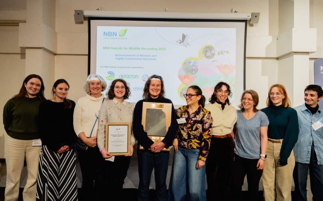 GiGL Wins the John Sawyer NBN Open Data Award 2025!