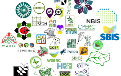 How GiGL Stays Relevant by Engaging with National Bodies