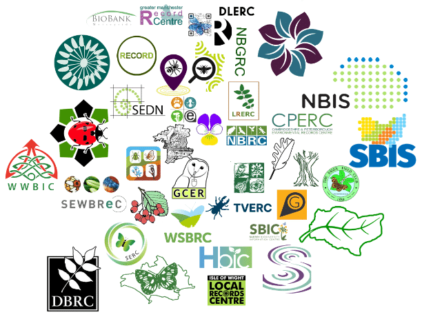 How GiGL Stays Relevant by Engaging with National Bodies