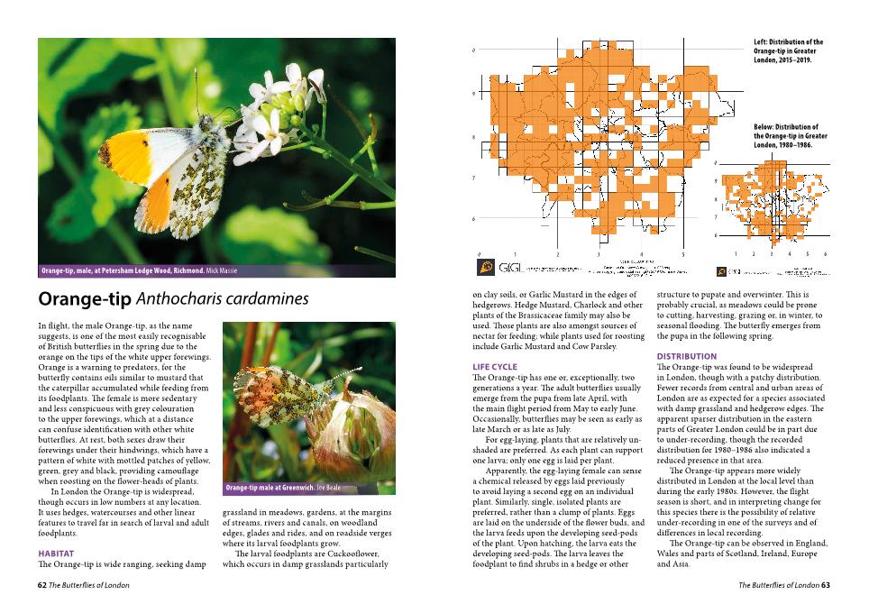 A two page book layout featuring writing, a map of London and a butterfly photo.