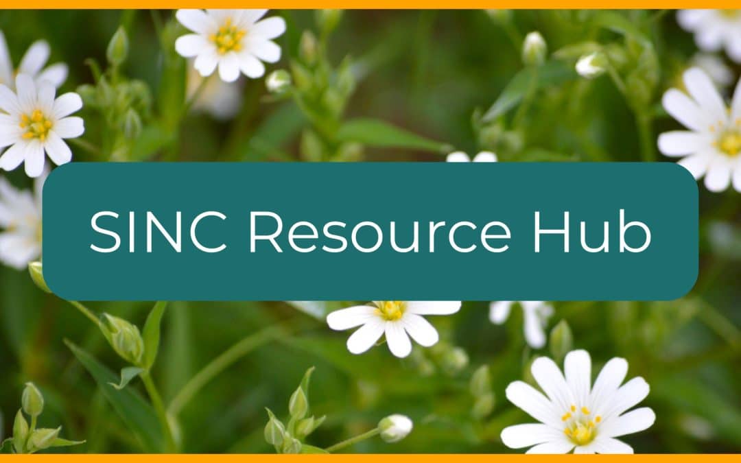 New Resources Launched for London’s SINCs!