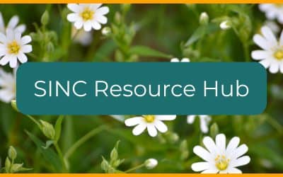 New Resources Launched for London’s SINCs!
