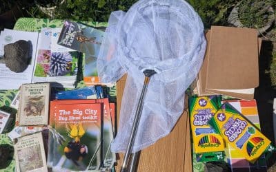Big City Bug Hunt