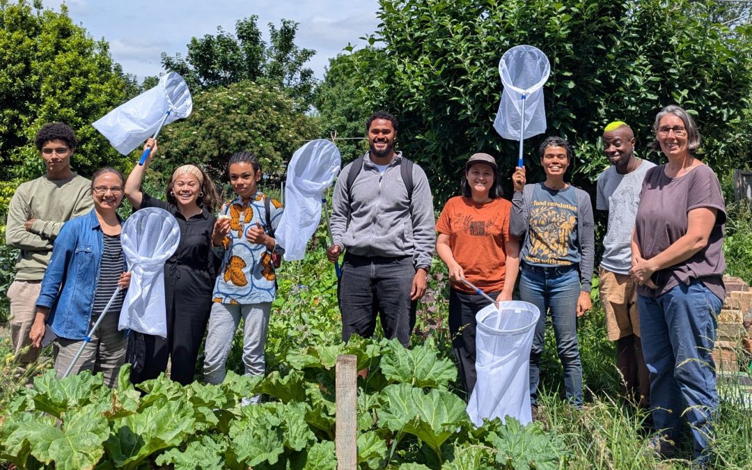 Big City Bug Hunt reveals the biodiversity thriving in London’s community food growing spaces