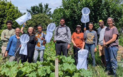 Big City Bug Hunt reveals the biodiversity thriving in London’s community food growing spaces