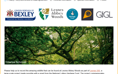 Get Lesnes Abbey Savvy!