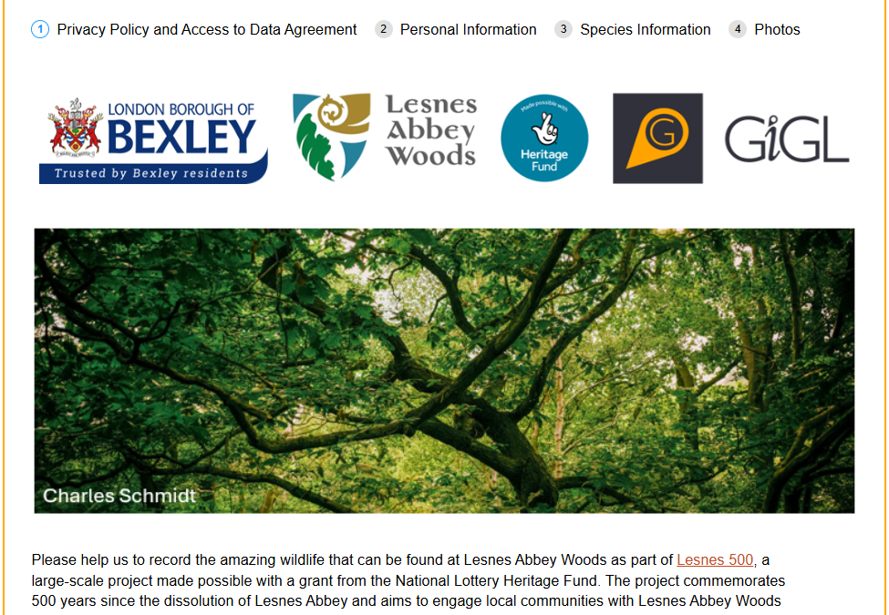 Get Lesnes Abbey Savvy!