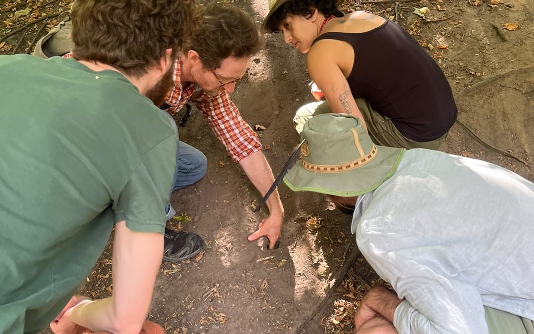 A gathering around a small mound of dirt – an intro to the London Wildlife Tracking Group
