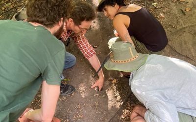 A gathering around a small mound of dirt – an intro to the London Wildlife Tracking Group